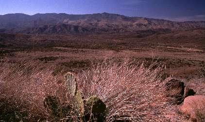 Desert.JPG (22468 bytes)